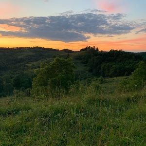 Meet your Posher, Joe